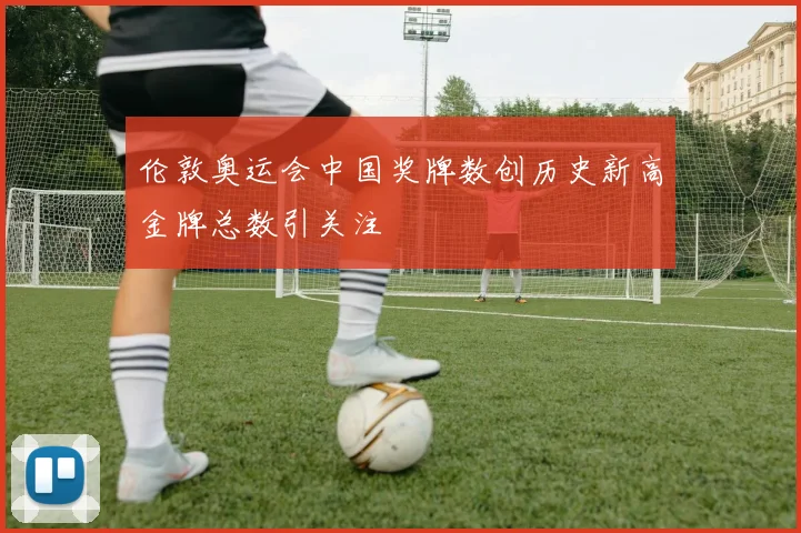 伦敦奥运会中国奖牌数创历史新高金牌总数引关注